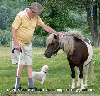 PTSD Puppy? Decades After WWII Lapdog Still Served Vet