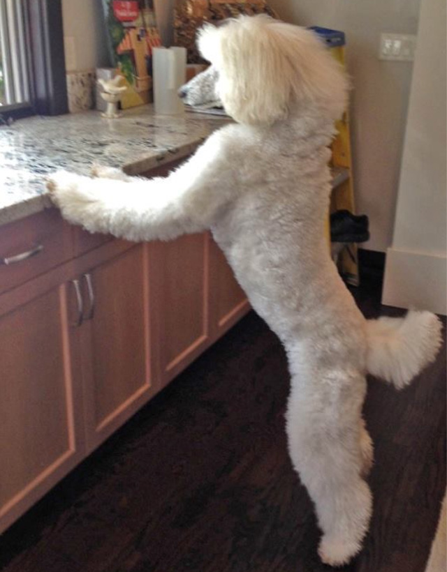 Looking out the window