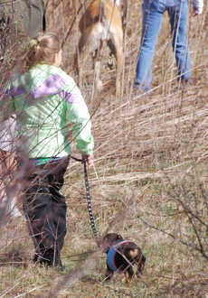 Easter Kong Hunt For Children With Four Legs at Animal Hospital